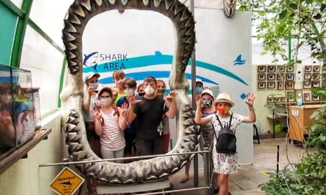 В пасти гигантской акулы – Николаевский зоопарк предлагает новую фотолокацию
