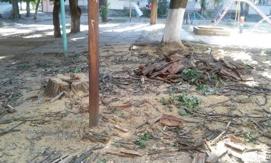 Подорожание газа привело к варварской вырубке деревьев в Николаеве 