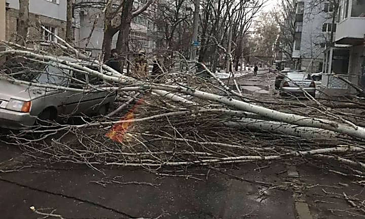 На улице 2-я Слободская на припаркованную машину с водителем упало большое дерево
