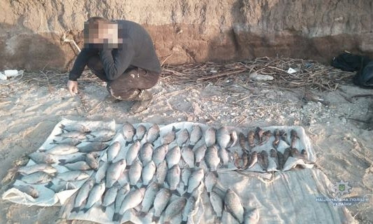 В Николаевской области задержаны браконьеры, которые в нерест выловили почти 400 рыб