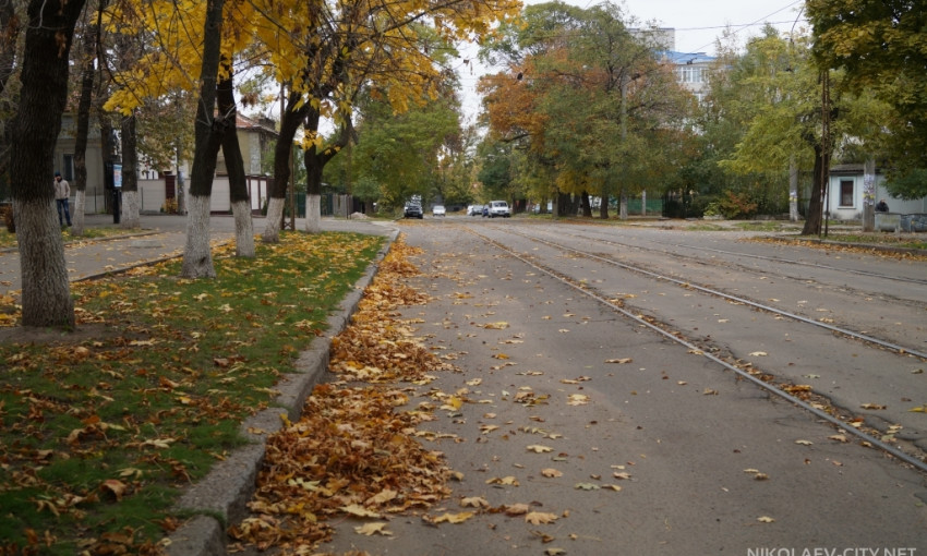 В Николаеве не спешат убирать опавшие листья с улиц