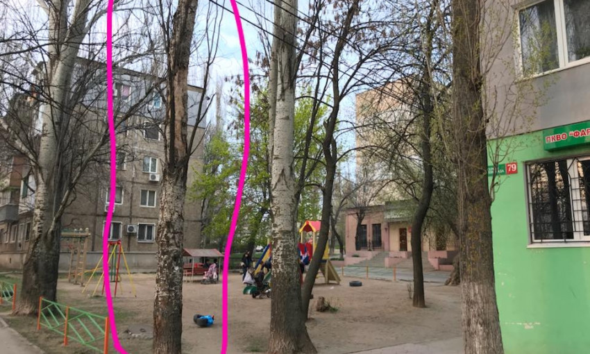 Депутат Маликин снес сухой тополь у детской площадки, а районная администрация бездействовала 2 месяца