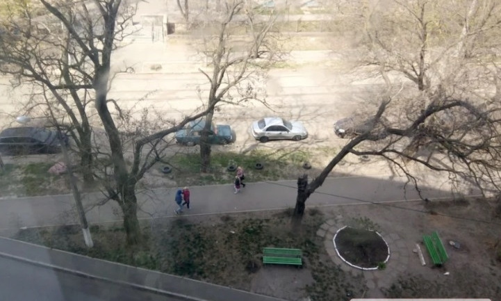 В Николаеве жители пожаловались на ветку дерева, которая повисла над тротуаром