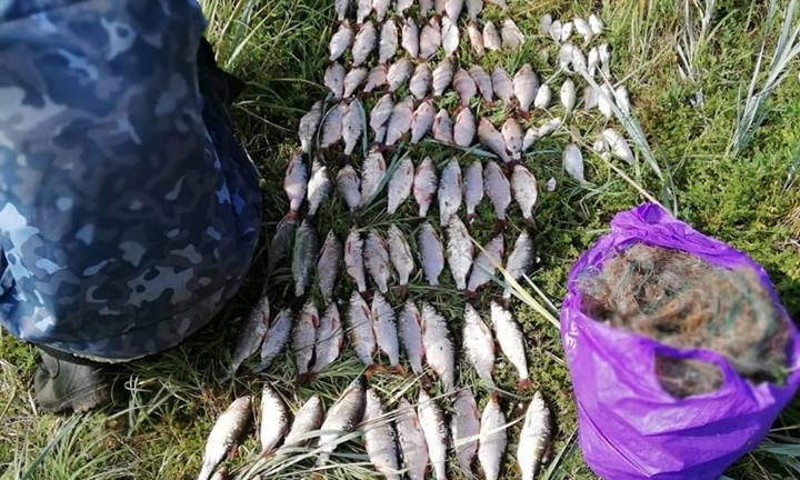 В Николаеве задержали браконьера незаконно наловившего более 11 килограмм рыбы