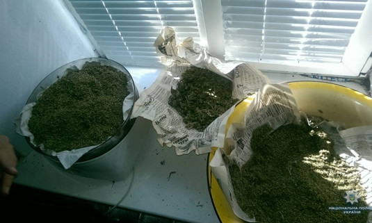 Мужчина дома обустроил теплицу для выращивания конопли, у него изъяли 10 кустов наркорастения и 5 кг каннабиса