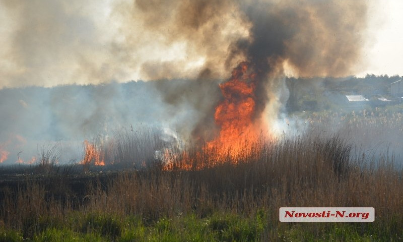 Под Николаевом пылает масштабный пожар - браконьеры подожгли камыш на Ингуле. ВИДЕО