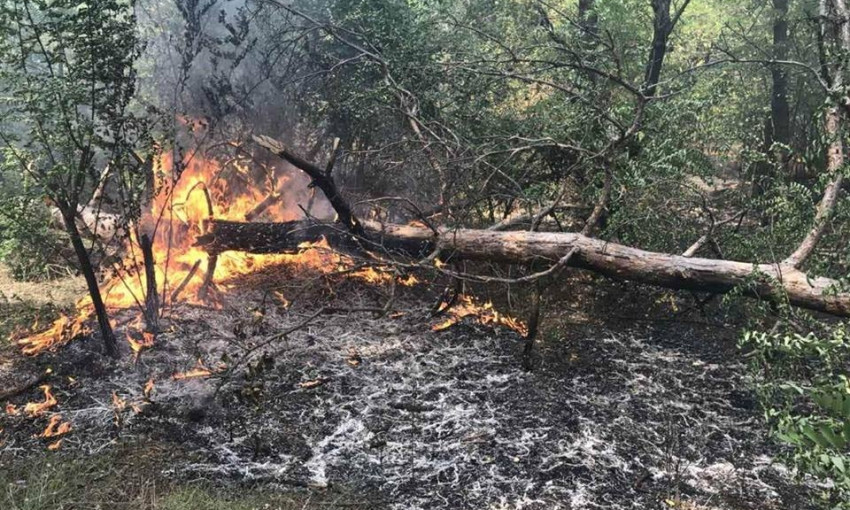 На территории Прибужского лесничества ГП «Вознесенское лесное хозяйство» произошел пожар