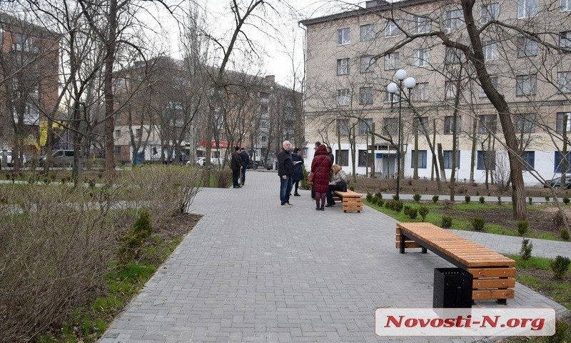 В Николаевском сквере искали «потерявшиеся» 1000 кустов самшита за 250 тыс.: пока не нашли