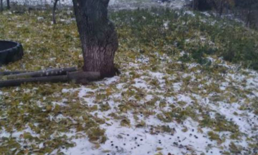 Сегодня на Николаевщине выпал первый снег 