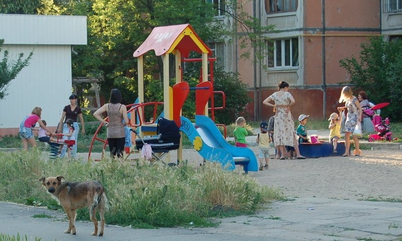 В Николаеве прямо на детской площадке мужчина показывал гениталии детям