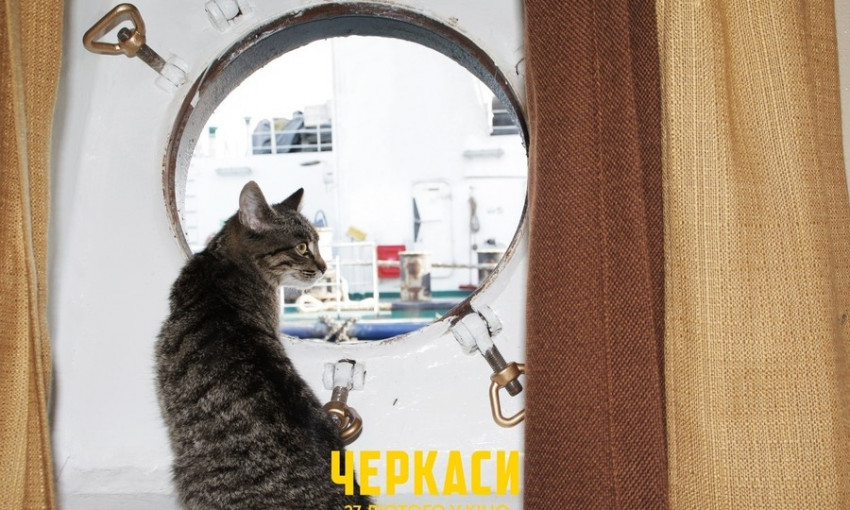 «На кораблях служат не только люди»: в военном фильме, снятом в Очакове, покажут командирского кота