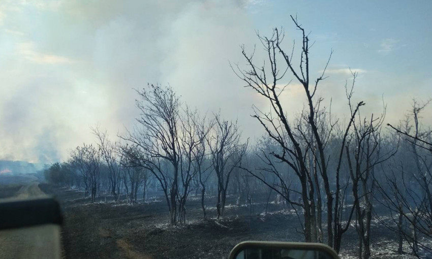 Только за сутки в Николаевской области огнем уничтожено почти 65 гектар открытых территорий