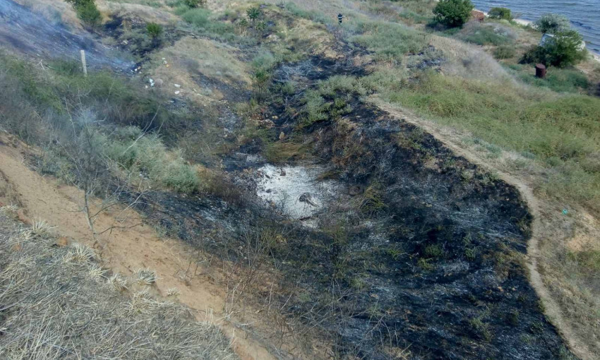 За сутки на Николаевщине огонь уничтожил 10 га открытых территорий
