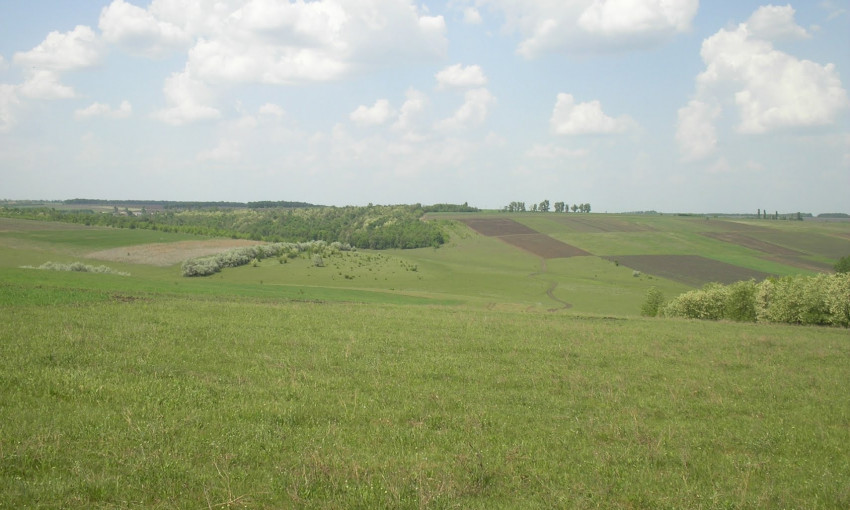 В Первомайском районе государству вернули земельный участок сельскохозяйственного назначения