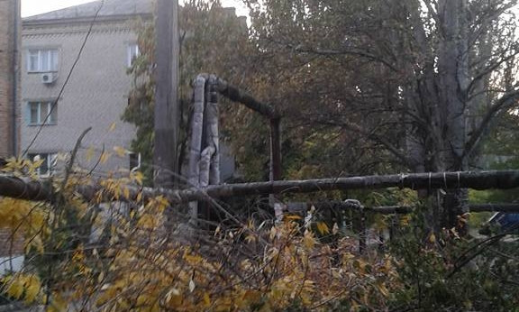В Николаеве в Лесках по деревьям прошлись дровосеки
