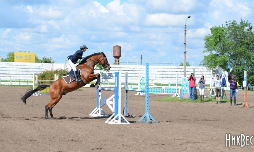 В День Независимости николаевцев зовут посетить яркое конно-спортивное шоу