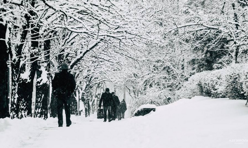 Николаевский фотограф запечатлел красоту зимы в кадре