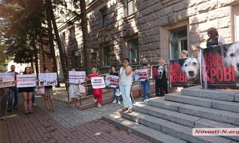 В Николаеве зоозащитники вышли с пикетом под стены мэрии