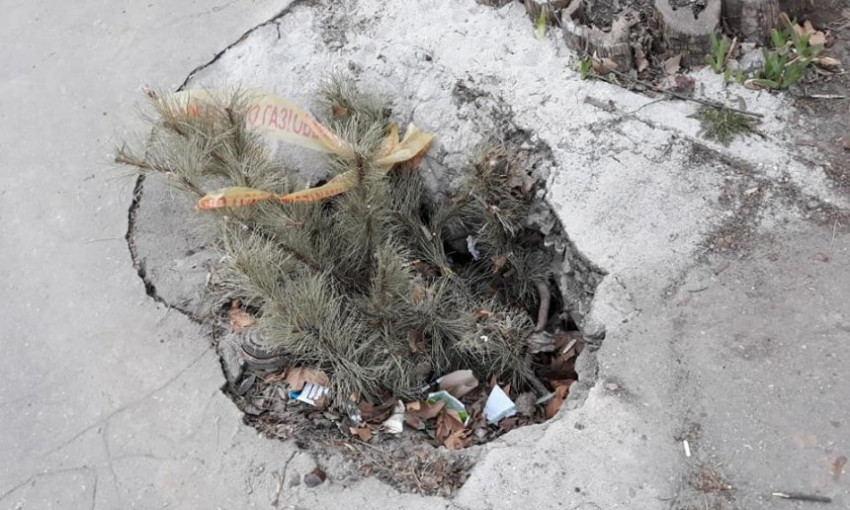 В центре Николаева яму, превратившуюся в мусорный бак, «пометили» новогодней сосной