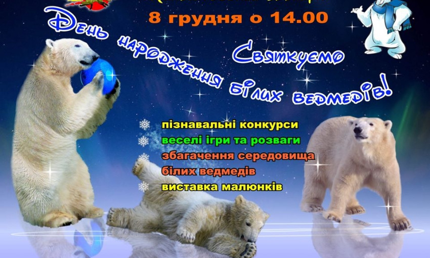 В Николаевском зоопарке отметят день рождения белых медведей веселым праздником