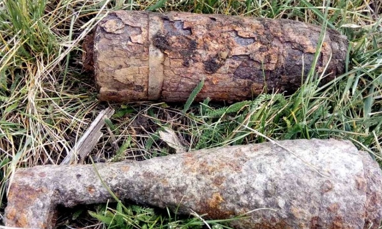 На Николаевщине мужчина во время поиска металлолома нашел мину и артснаряд
