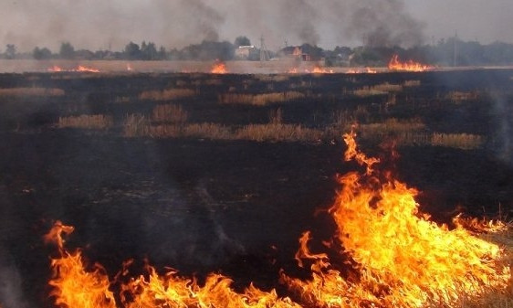 За сутки в Николаевской области тушили 21 пожар