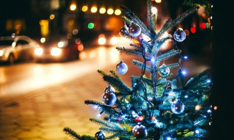 В Украине мошенники обманывают покупателей новогодних елок