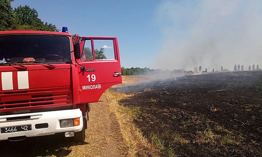 На территории Щербаневского лесничества неизвестные устроили пожар, огонь охватил 1,5 гектара