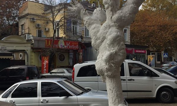 В самом центре Николаева странным образом побелили дерево