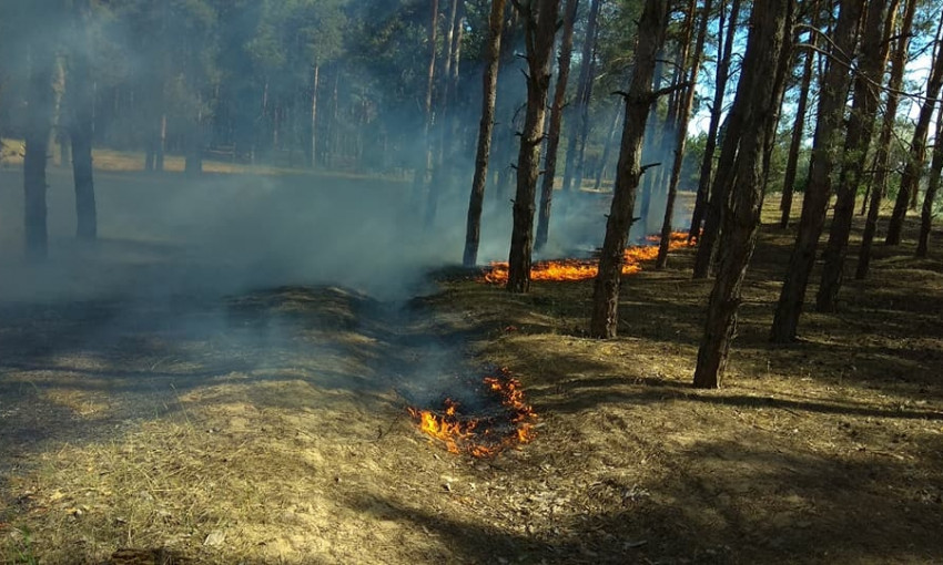 За минувшие сутки спасатели погасили два пожара лесных массивов в Николаевской области