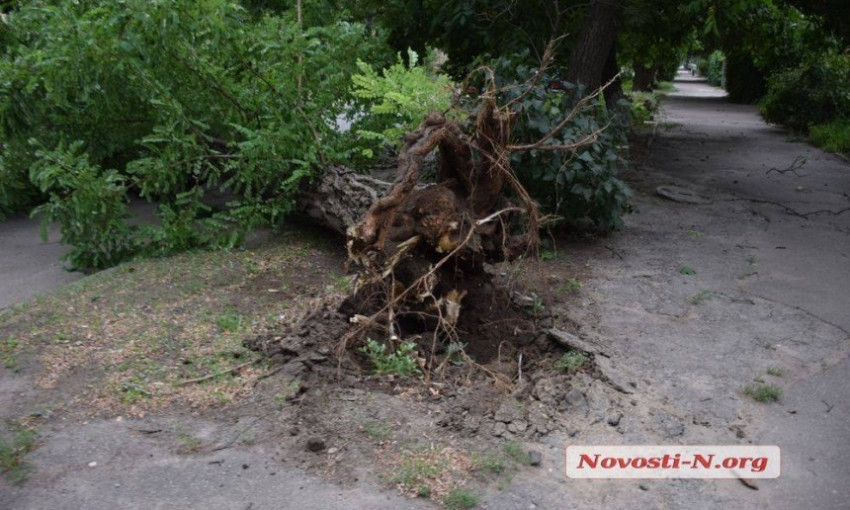 Результат непогоды в Николаеве: упавшие деревья, погнутые дорожные знаки и сорванные крыши