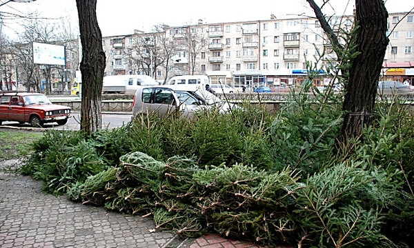 В Николаеве определили места для торговли елками и новогодней продукцией