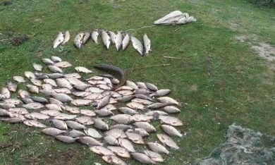 Незаконный вылов рыбы в Николаевской области