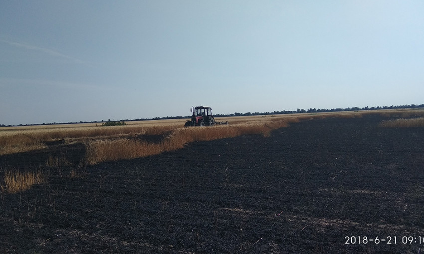 Под Очаковом выгорело более 4 гектаров пшеницы