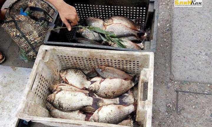 Стихийные рынки Николаева переполнены рыбой из потенциально опасных водоемов