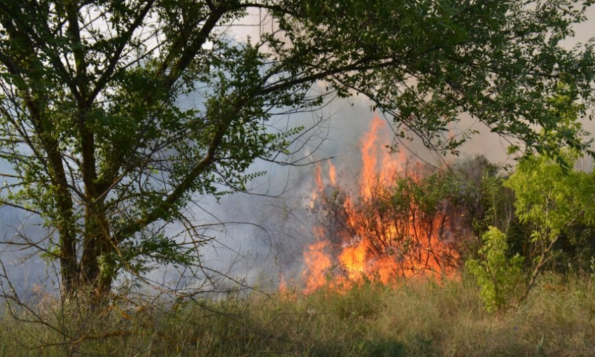 На территории Андреевского урочища произошел масштабный пожар леса