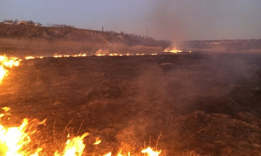 В Николаеве и области массово сжигают камыш: горело 4,5 га