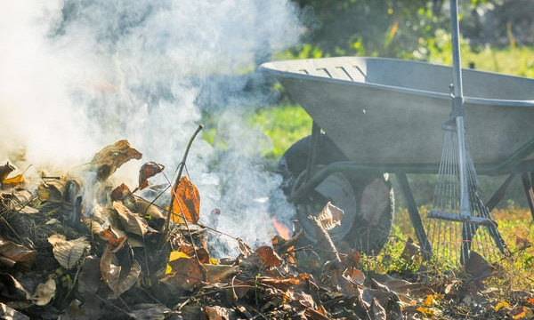 Жители Николаева сжигают сухую листву и таким образом вредят здоровью соседей 