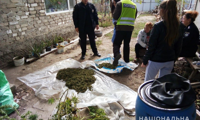 На Николаевщине полицейские изъяли у местной жительницы более двух килограммов каннабиса