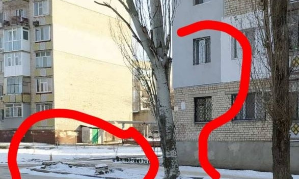 В Николаеве корневая система подрывает фундамент многоэтажного дома 