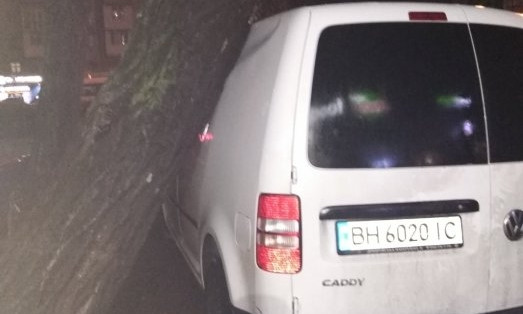 В Николаеве дерево упало на припаркованный автомобиль