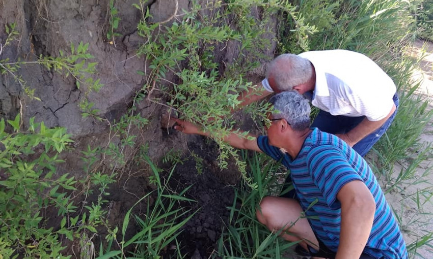 В поле между селами Лиманы и Лупарево обнаружили человеческие останки