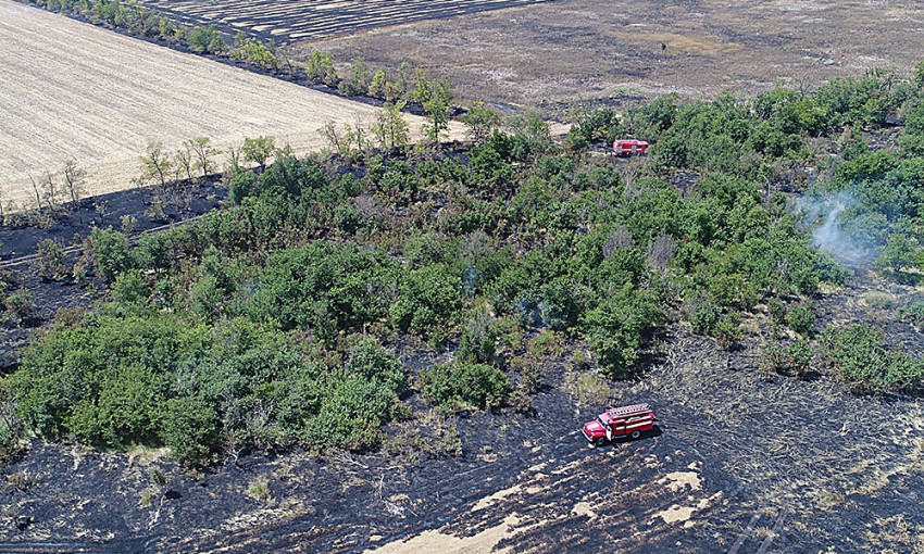 Спасатели показали съемку с дрона, как выглядят последствия масштабного пожара на полях