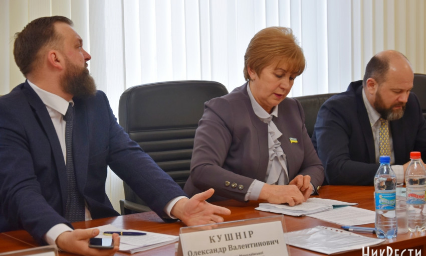 Депутат Демченко потребовала от ОГА отчитаться о ситуации в николаевском аэропорту