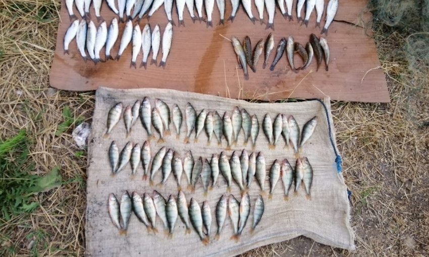 В акватории Днепро-Бугского лимана рыбоохранный патруль задержал браконьера с незаконным уловом