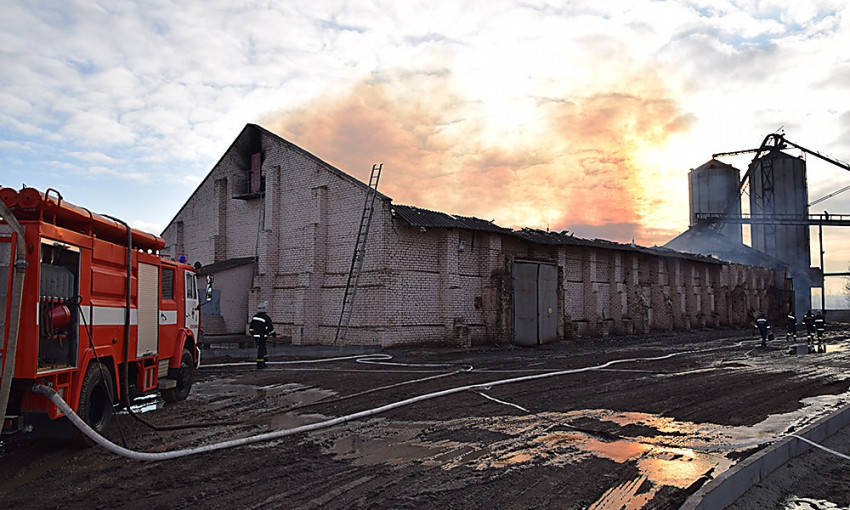 Спасатели 7 часов тушили пожар на маслозаводе в Николаевской области, пострадавших нет