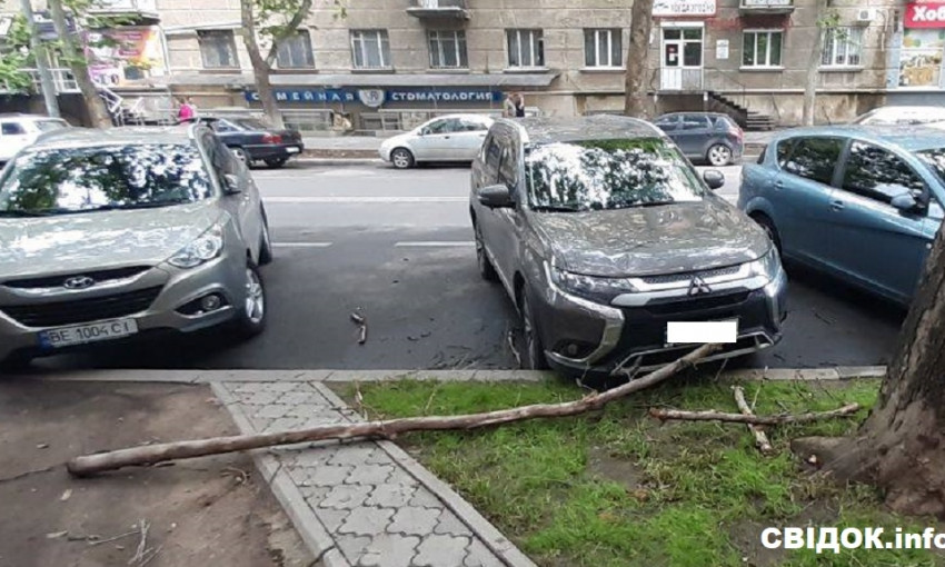 В Николаеве упавшая ветка «помяла» иномарку, владелец авто намерен обращаться в суд