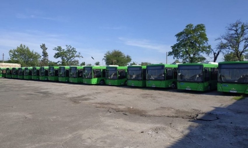 В Николаеве появились автобусы, которые Сенкевич обещал ещё в марте