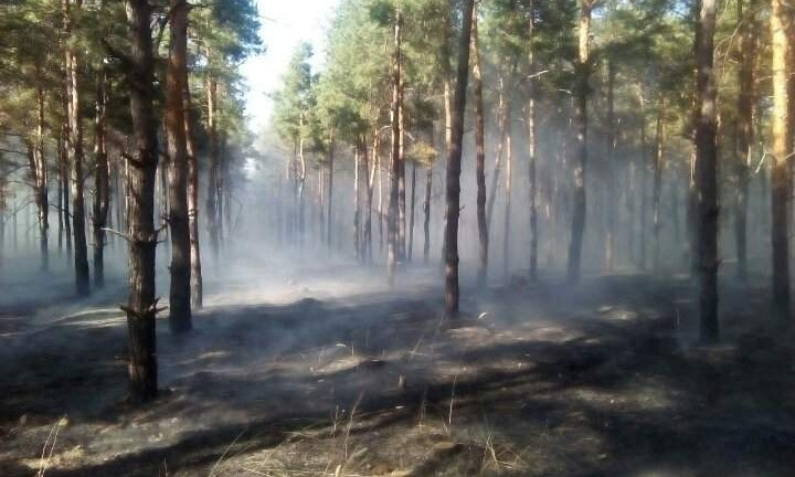 На Николаевщине горел лес