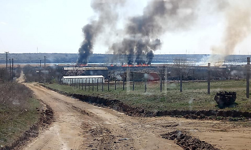 В Николаевской области снова горит камыш